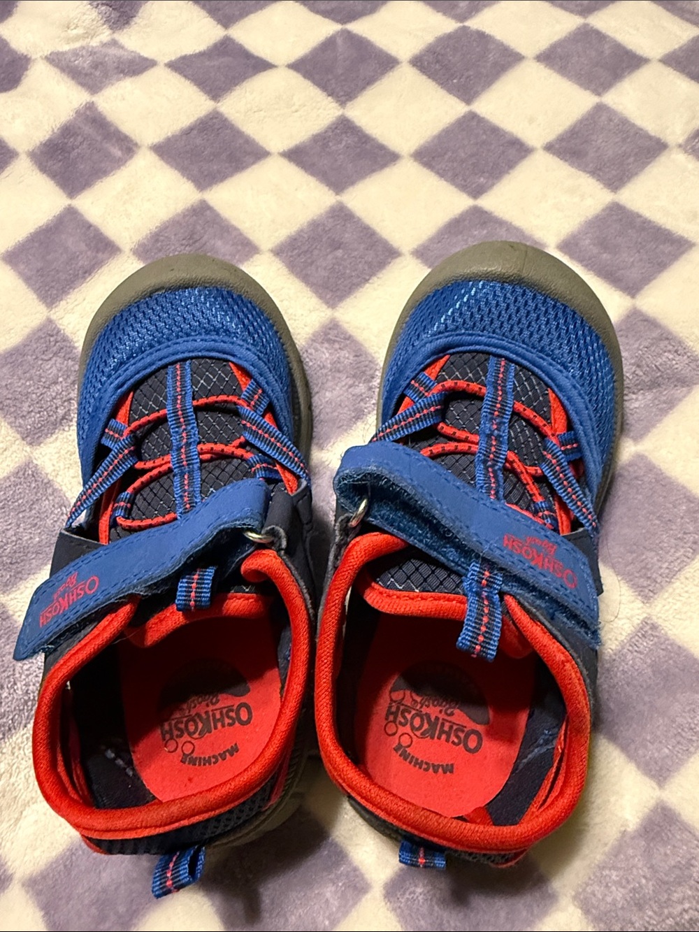 OshKosh B'gosh Royal Blue and Red Toddler Sneakers